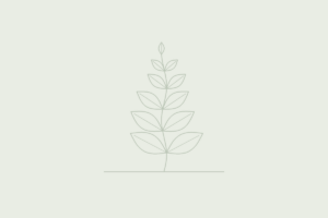 Agave